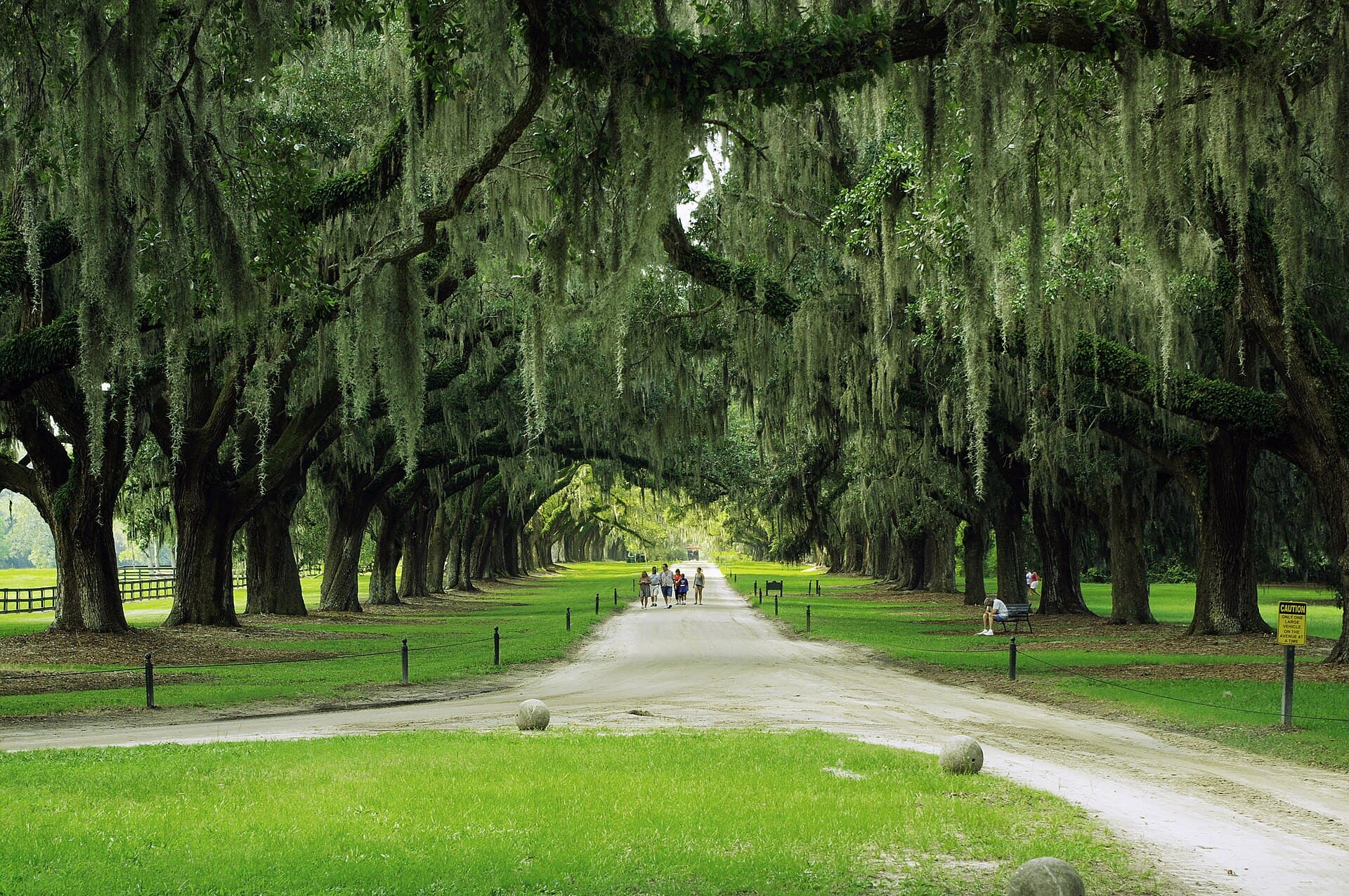 Avenue of Oaks draped in Spanish moss at Boone Hall Plantation