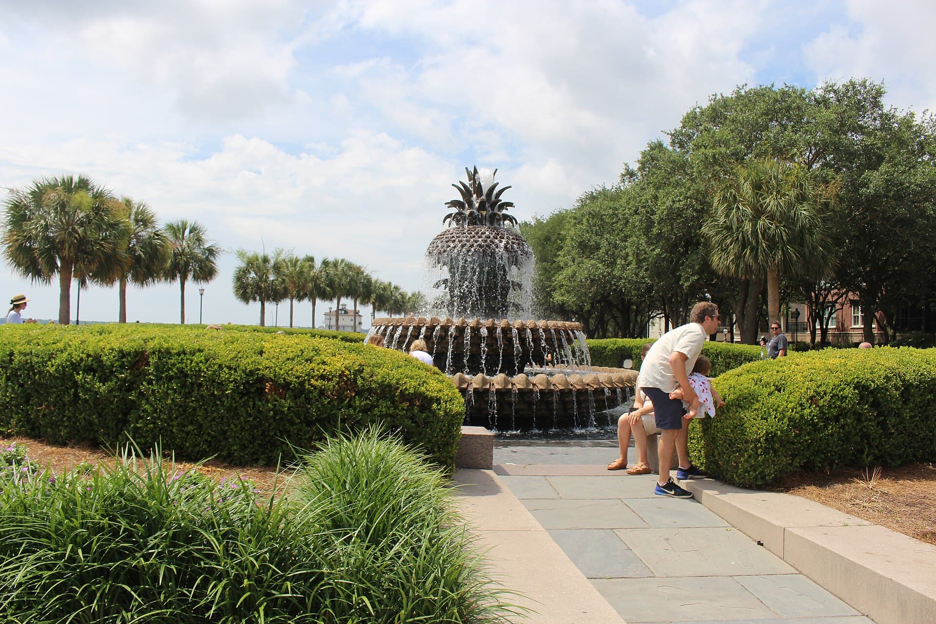 Charleston Peninsula & Harbor