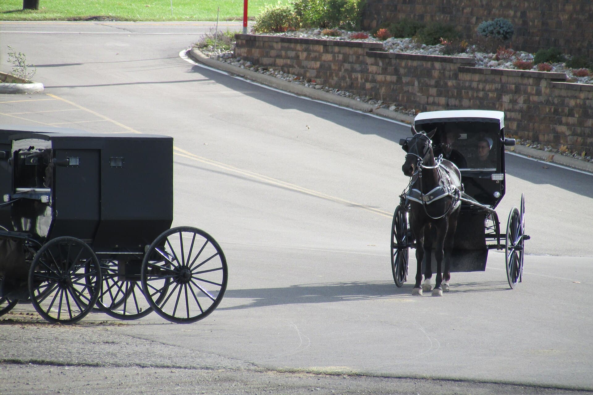 Amish horse and covered buggy in Holmes County, Ohio