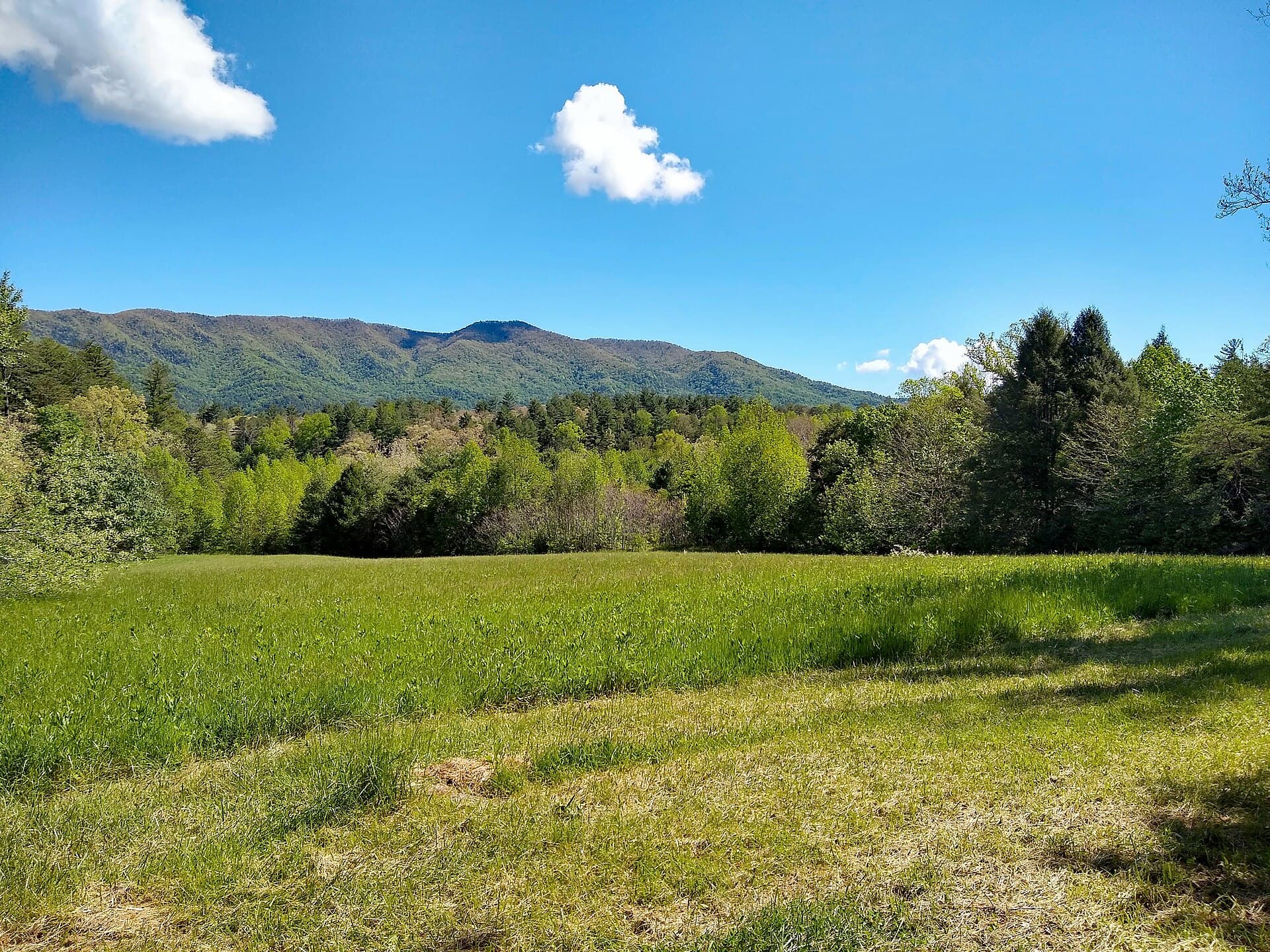 The Park as a Field Classroom