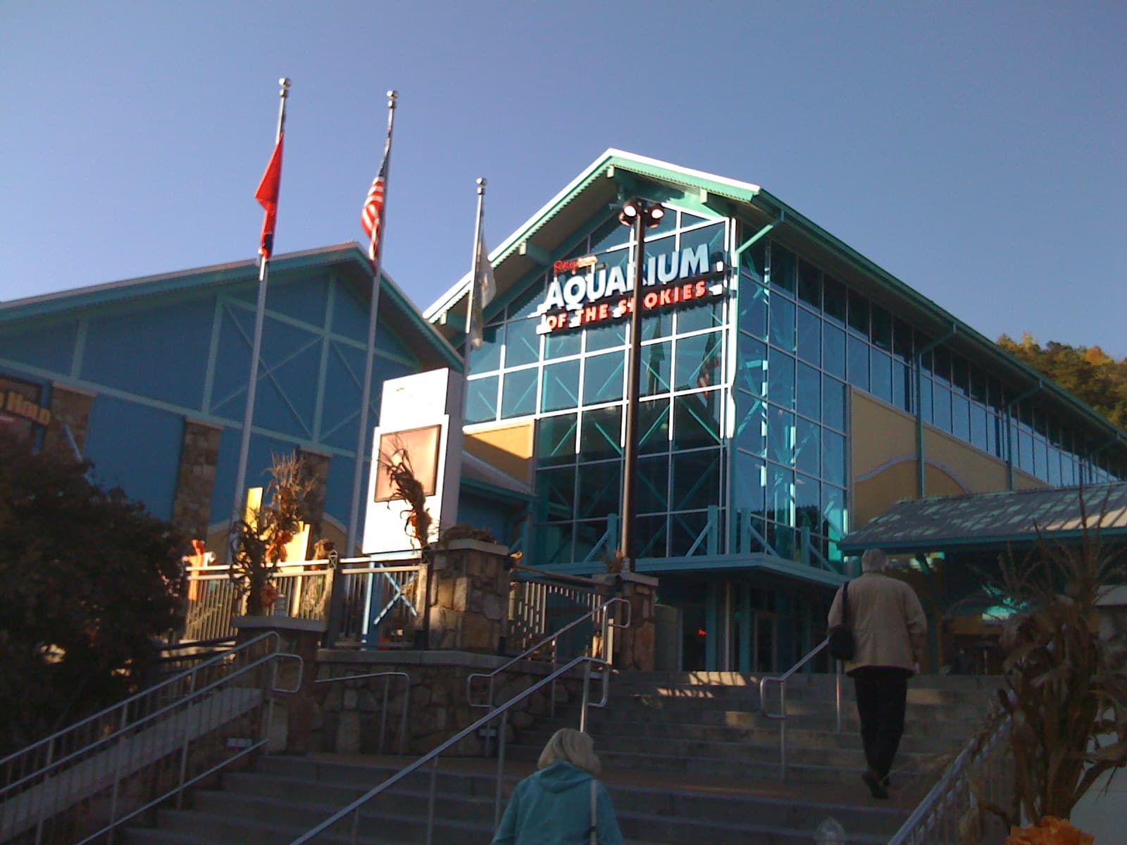Entrance to Ripley’s Aquarium of the Smokies in downtown Gatlinburg